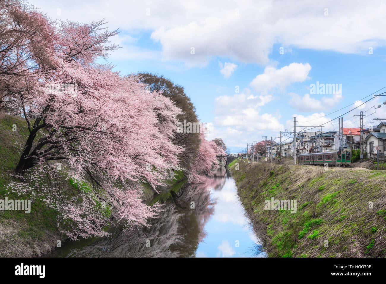 Yamagata - April 15:Kajo Park der Burg Yamagata ruinieren berühmter Ort der Yamagata-Shi erstklassige Kirschbaum, wo ca. 1.500 Kirschbäume Stockfoto