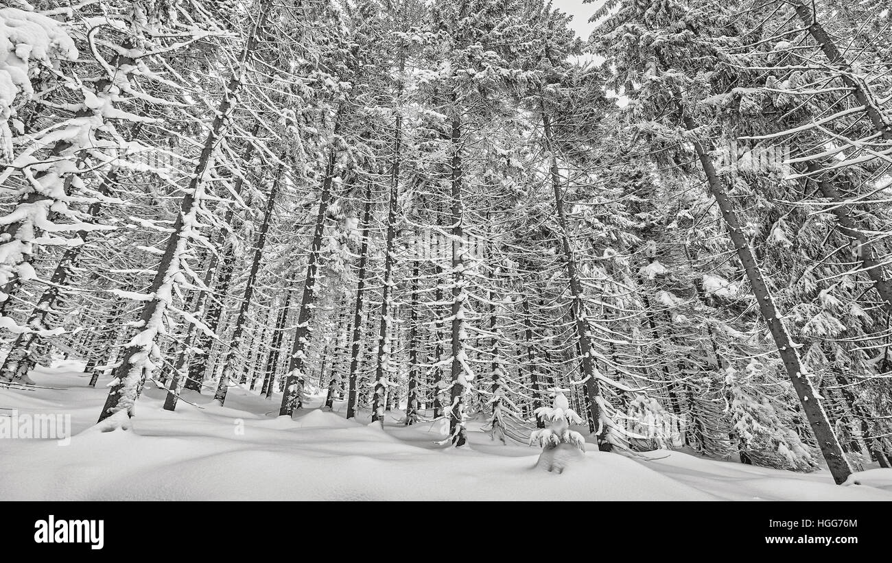 Berge schnee schwarz weiß -Fotos und -Bildmaterial in hoher Auflösung
