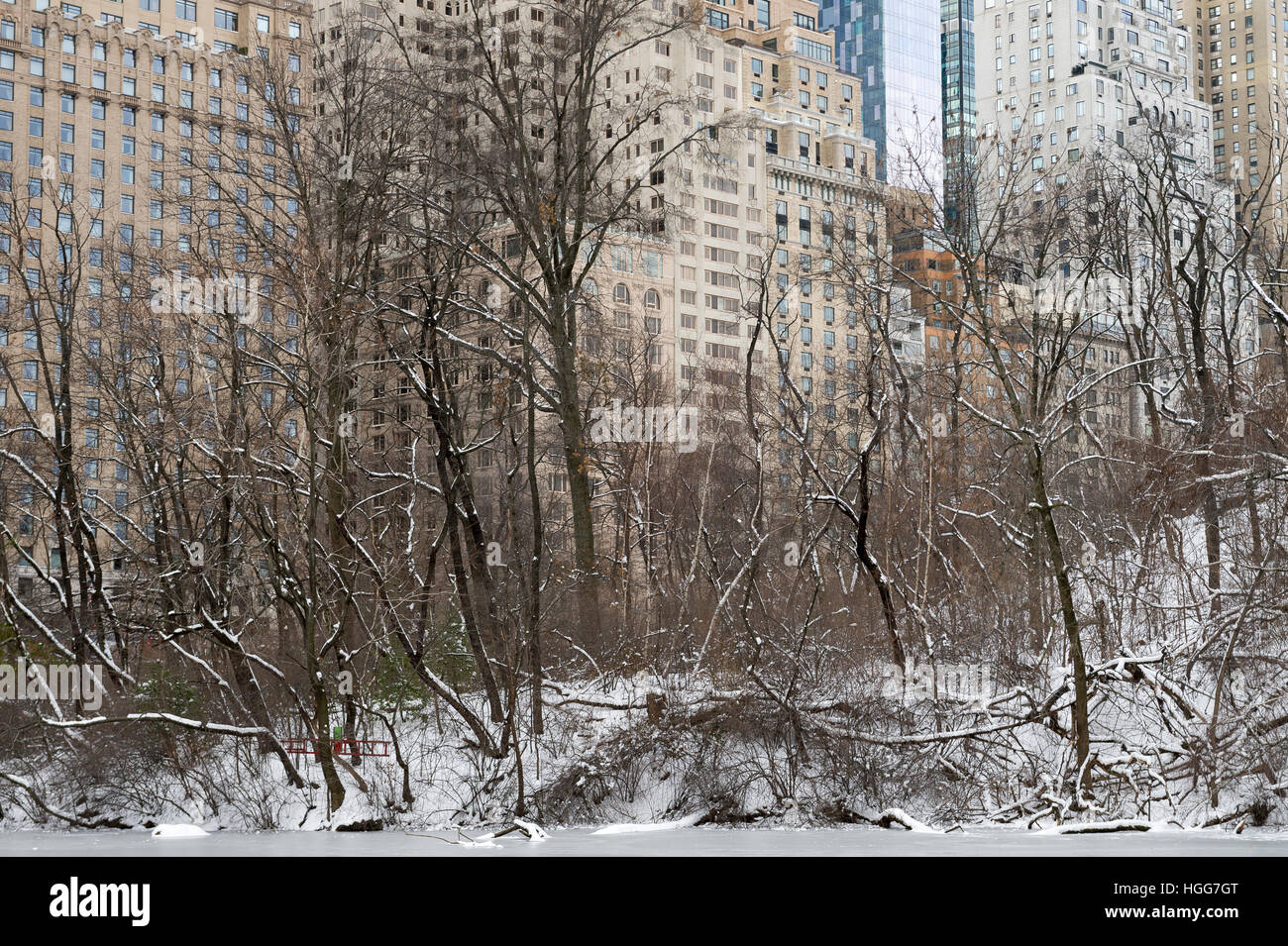 Verschneite Winterlandschaft die Skyline von Midtown Manhattan gesehen zwischen den Bäumen im Central Park Stockfoto