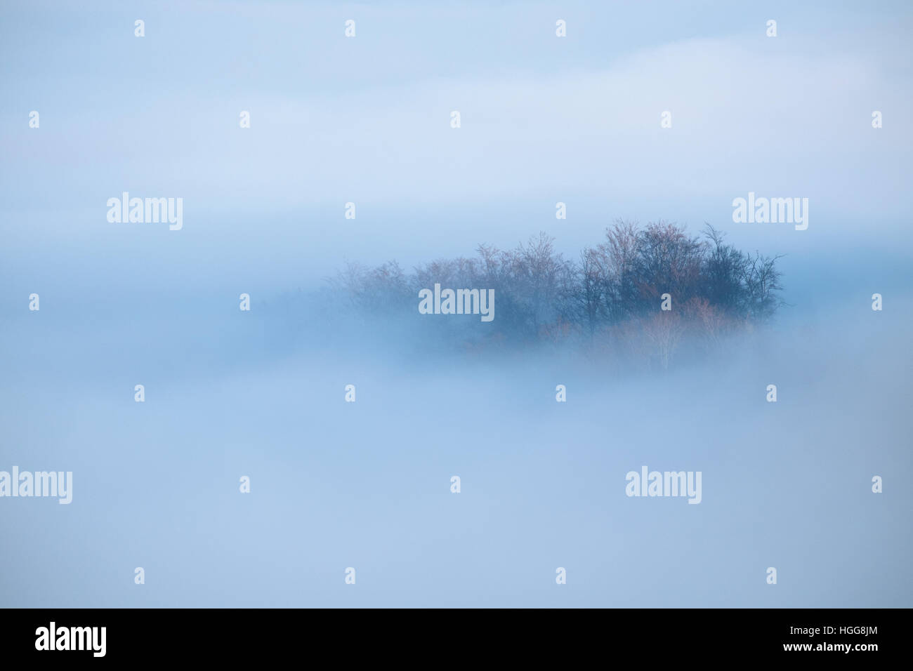 Bergrücken mit Wolken fließt durch die Waldbäume in Ungarn Stockfoto