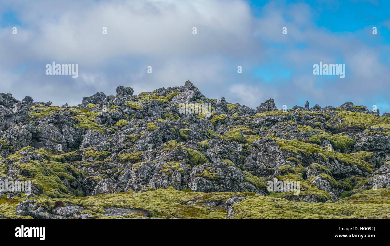 Moos und Lava, Bereich von The Blue Lagoon Island Stockfoto