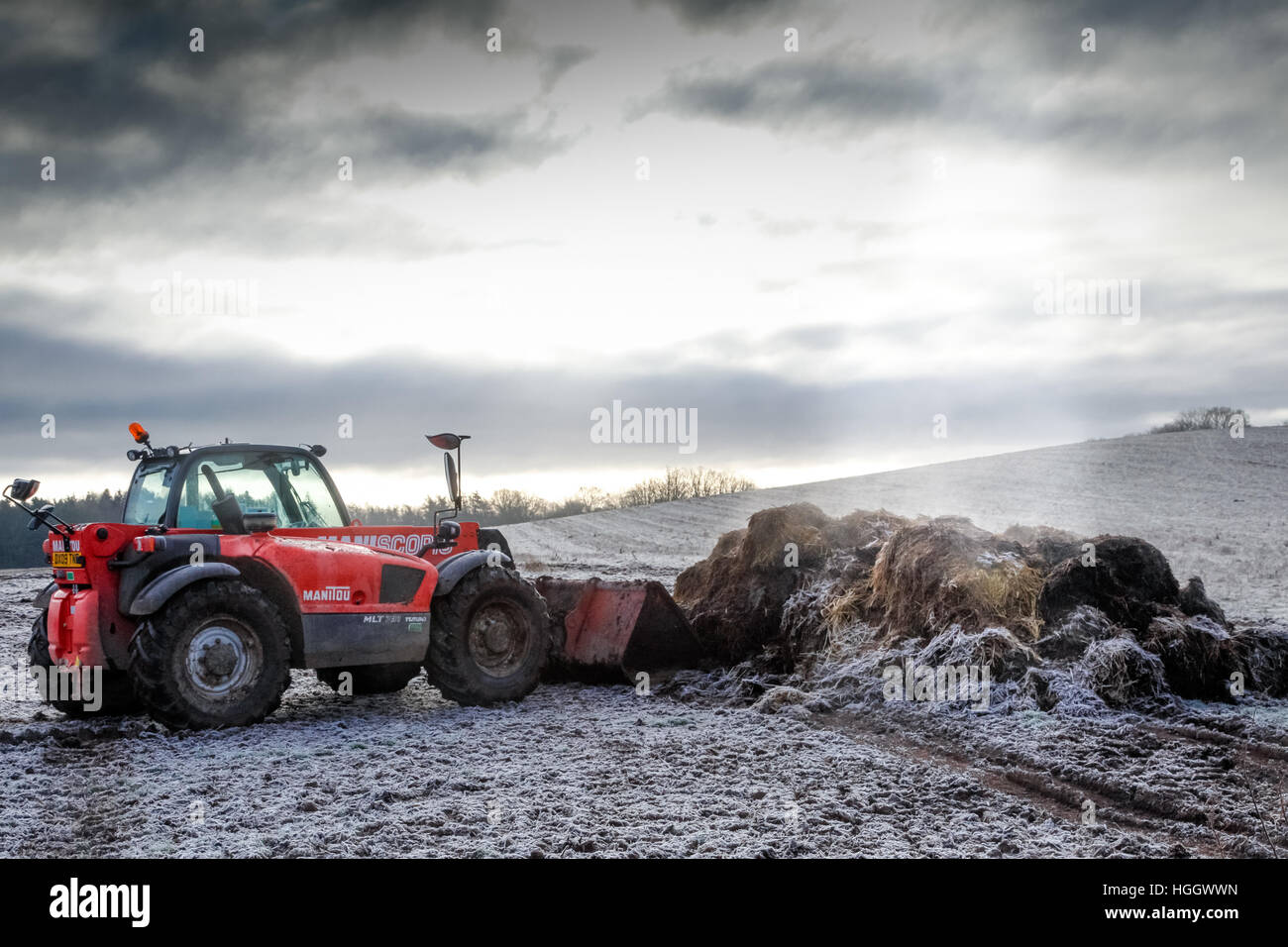 Ein roter Hof Fahrzeug Muck Verbreitung an einem kalten Wintertag Stockfoto