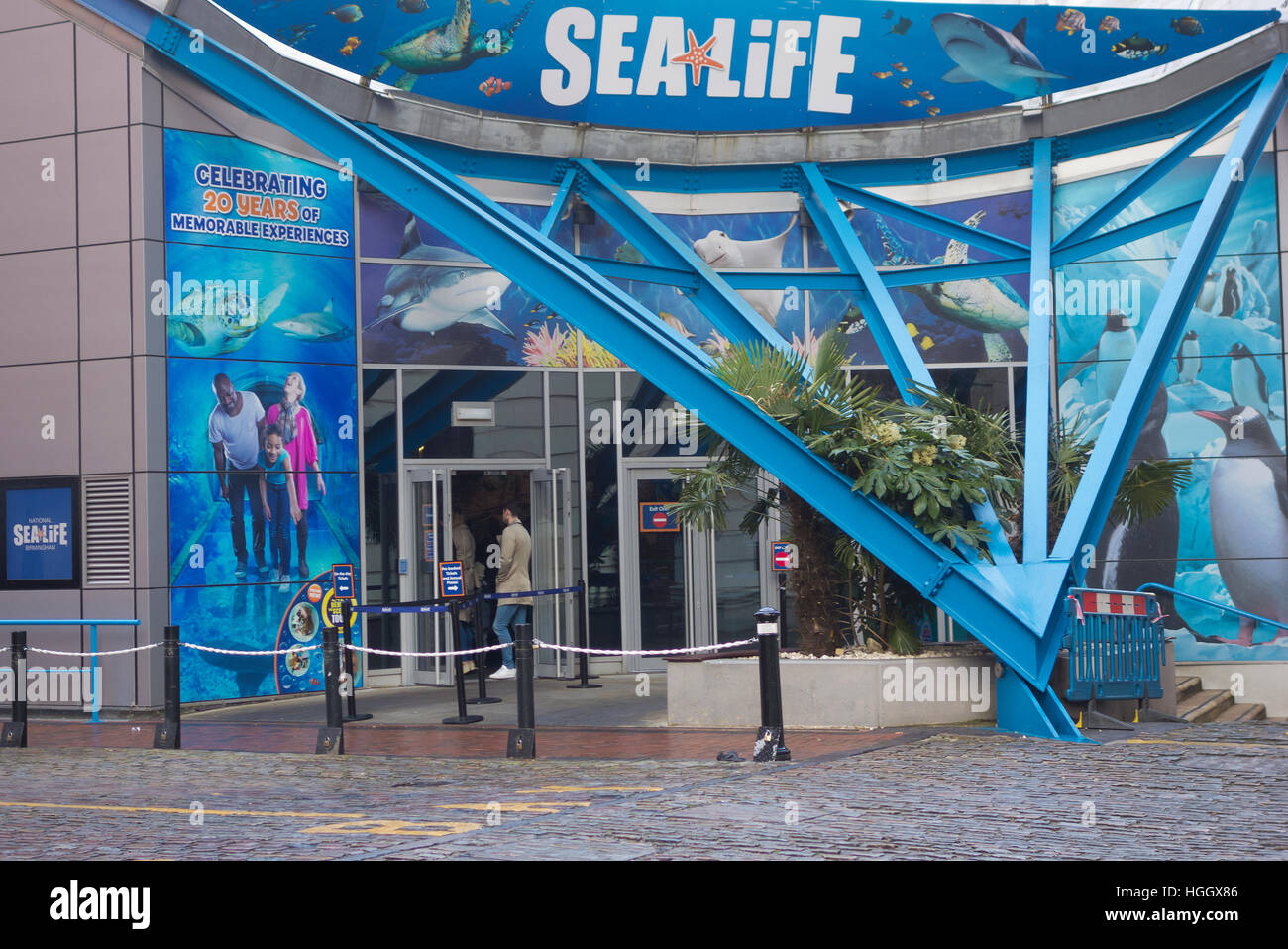 National Sea Life Centre, Brindleyplace, Birmingham, West Midlands, England, UK Stockfoto