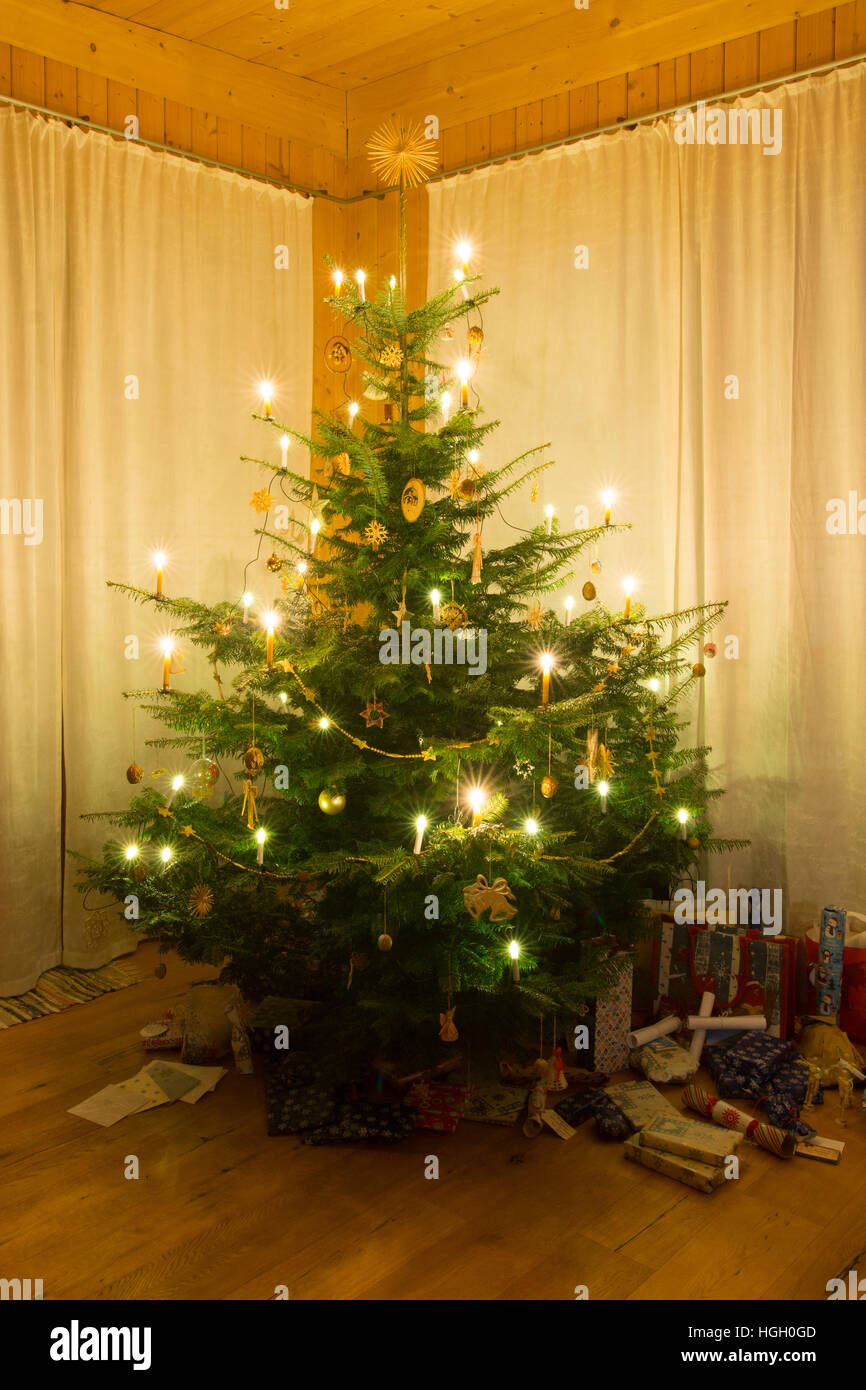 Ein typischer traditioneller natürlicher Weihnachtsbaum mit beleuchteten Kerzen und präsentiert sich unten in einem Holzhaus in Österreich am Heiligabend Stockfoto