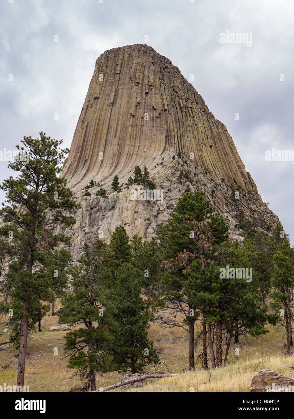 Des Teufels Turm aus roten Betten Weges, des Teufels Tower National Monument, Wyoming. Stockfoto
