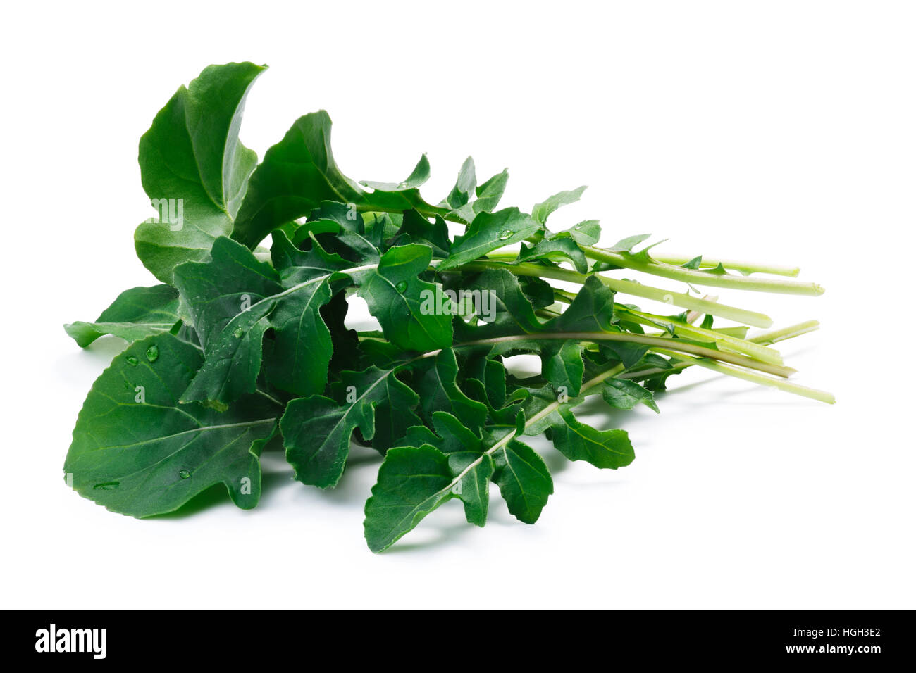 Frische großer-blättrig Rucola (entnimmt Sativa) grünen Salat. Schneidepfade, Schatten getrennt. Natürliches Tageslicht Farbe Stockfoto