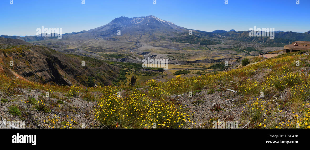 Panoramablick auf Mount Saint Helens, Mount Saint Helens National Monument, Skamania County, Kaskade-Strecke, Washington Stockfoto