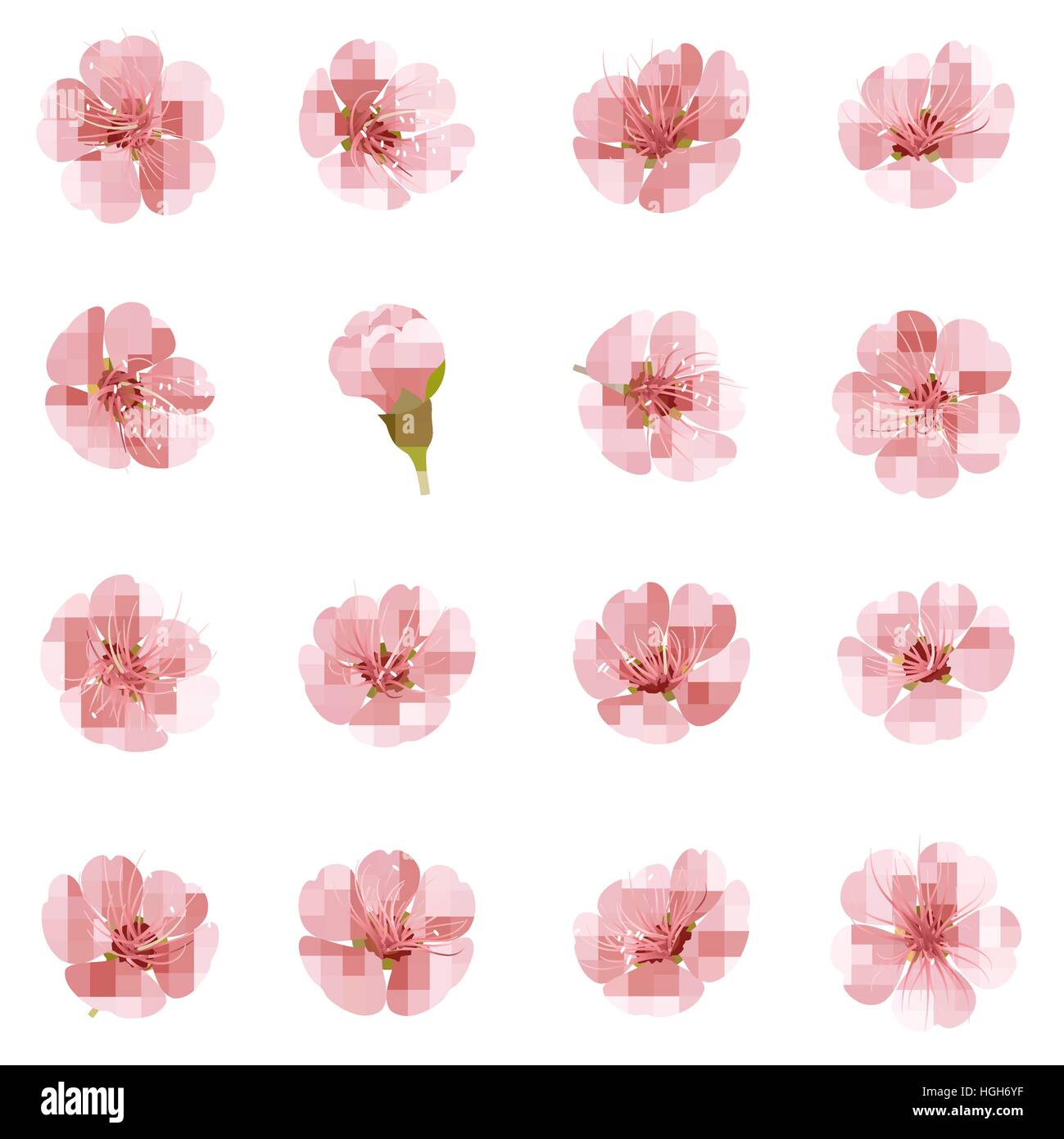 Sakura Blumen Iconset isoliert. EPS 10 Stock Vektor