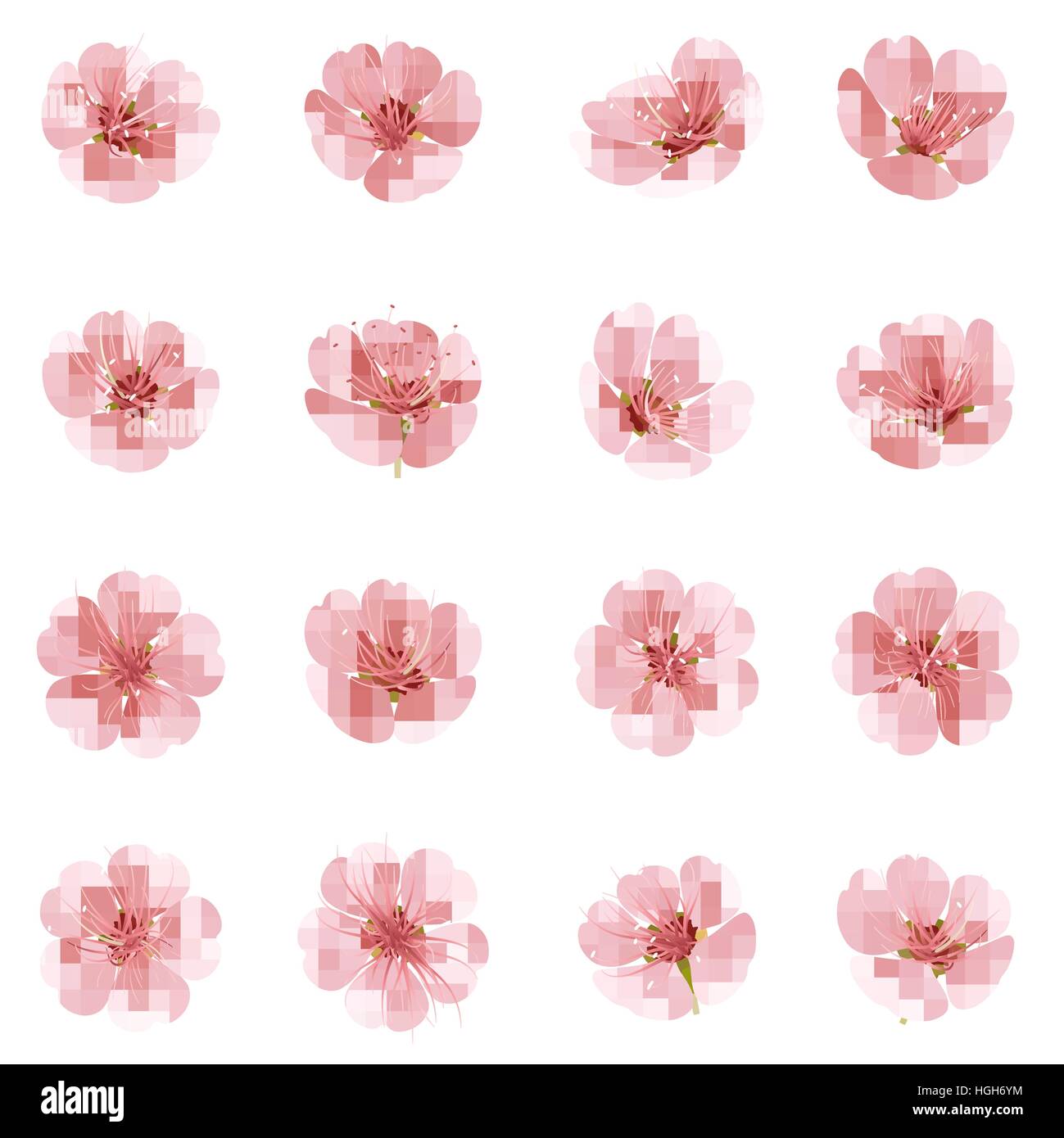 Satz von Sakura Blumen. EPS 10 Stock Vektor