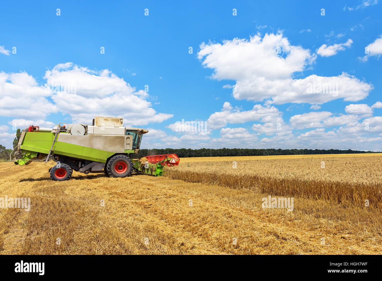 Mähdrescher auf einem Weizenfeld mit blauem Himmel. Stockfoto