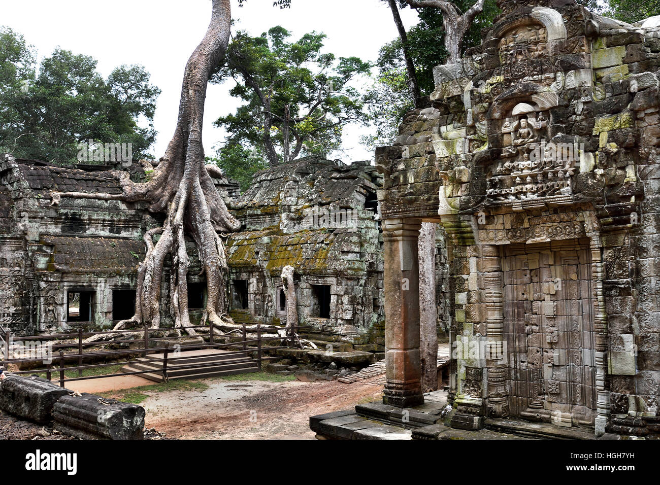 Ta Prohm Kambodscha im Bayon-Stil weitgehend im späten 12. und frühen 13. Jahrhundert erbaut und ursprünglich als Rajavihara. (Angkor Komplex verschiedene archäologische Hauptstädte Khmer Reich 9-15. Jahrhundert) Stockfoto