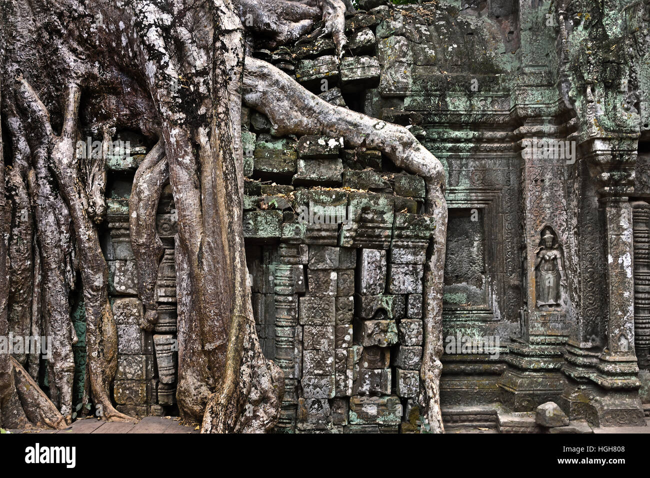 Ta Prohm Kambodscha im Bayon-Stil weitgehend im späten 12. und frühen 13. Jahrhundert erbaut und ursprünglich als Rajavihara. (Angkor Komplex verschiedene archäologische Hauptstädte Khmer Reich 9-15. Jahrhundert) Stockfoto