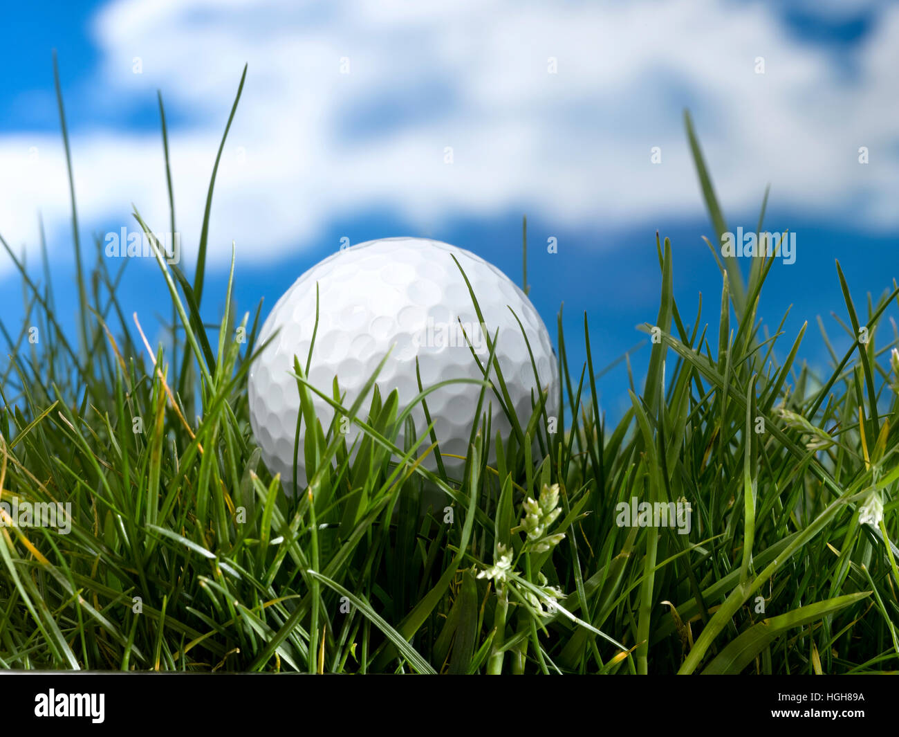 Golf ball lost in rough Fotos und Bildmaterial in hoher Auflösung Alamy