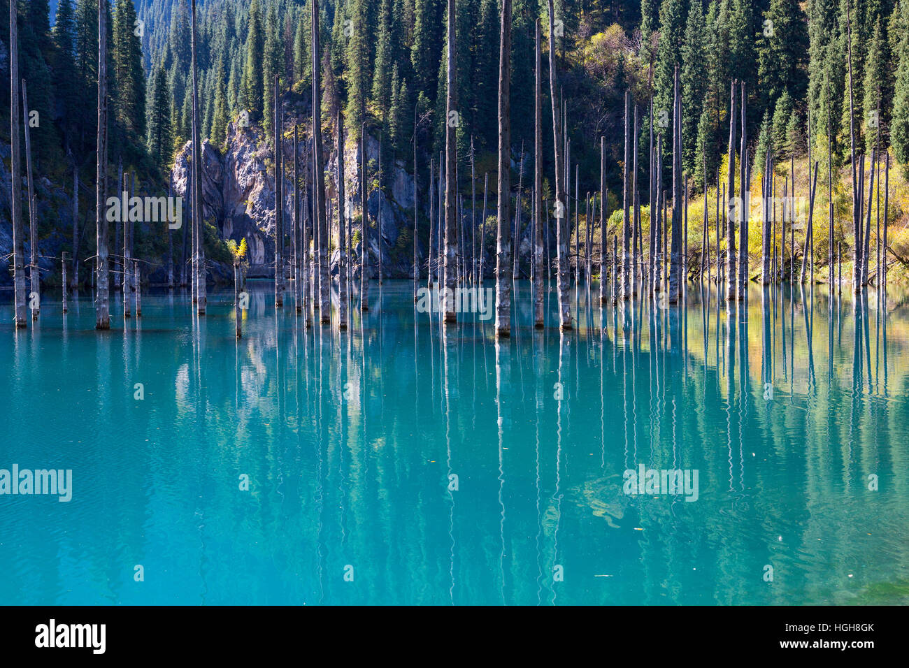 Kaindy See in Kasachstan auch bekannt als Birch Tree See oder Unterwasser Wald. Stockfoto