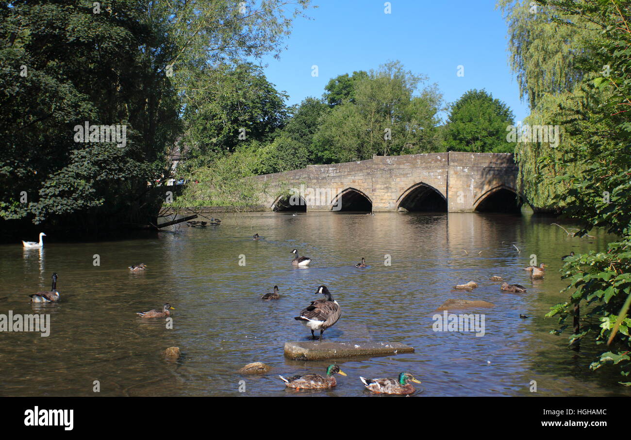 Mittelalterliche Brücke über den Fluss Wye im Zentrum von Bakewell; eine hübsche Marktstadt im Peak District, Derbyshire UK Sommer Stockfoto