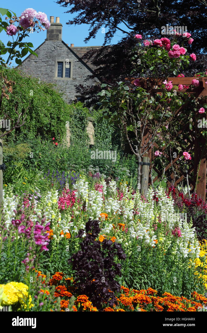 Sommer Blumen Grenze zeigt geschichteten Höhen mit Ringelblumen, Löwenmäulchen (Antirrhinums) und Rosen in einem englischen Garten Stockfoto