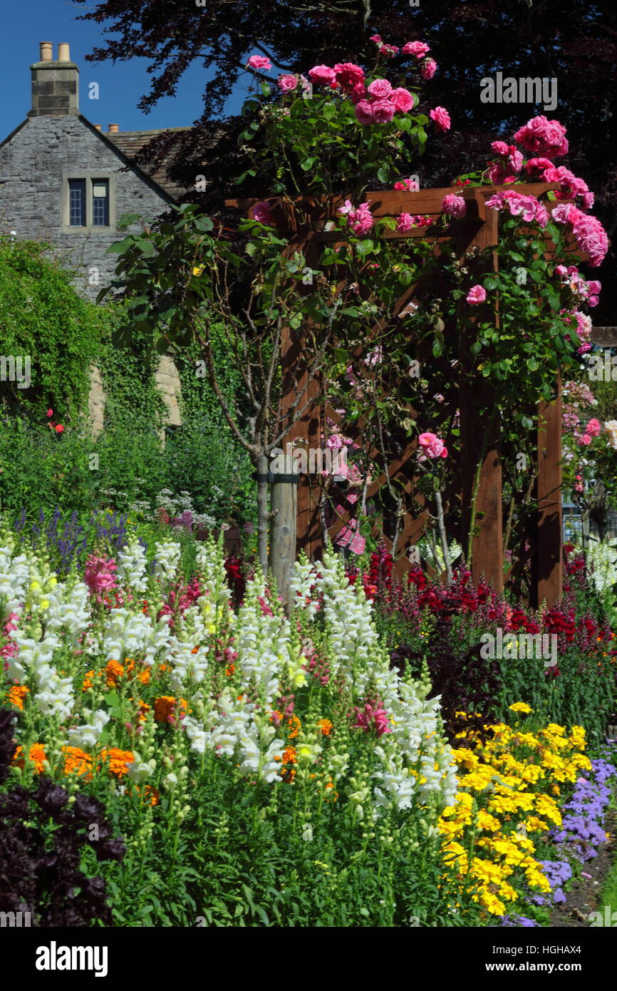 Sommer Blumen Grenze zeigt geschichteten Höhen mit Ringelblumen, Löwenmäulchen (Antirrhinums) und Rosen in einem englischen Garten Stockfoto