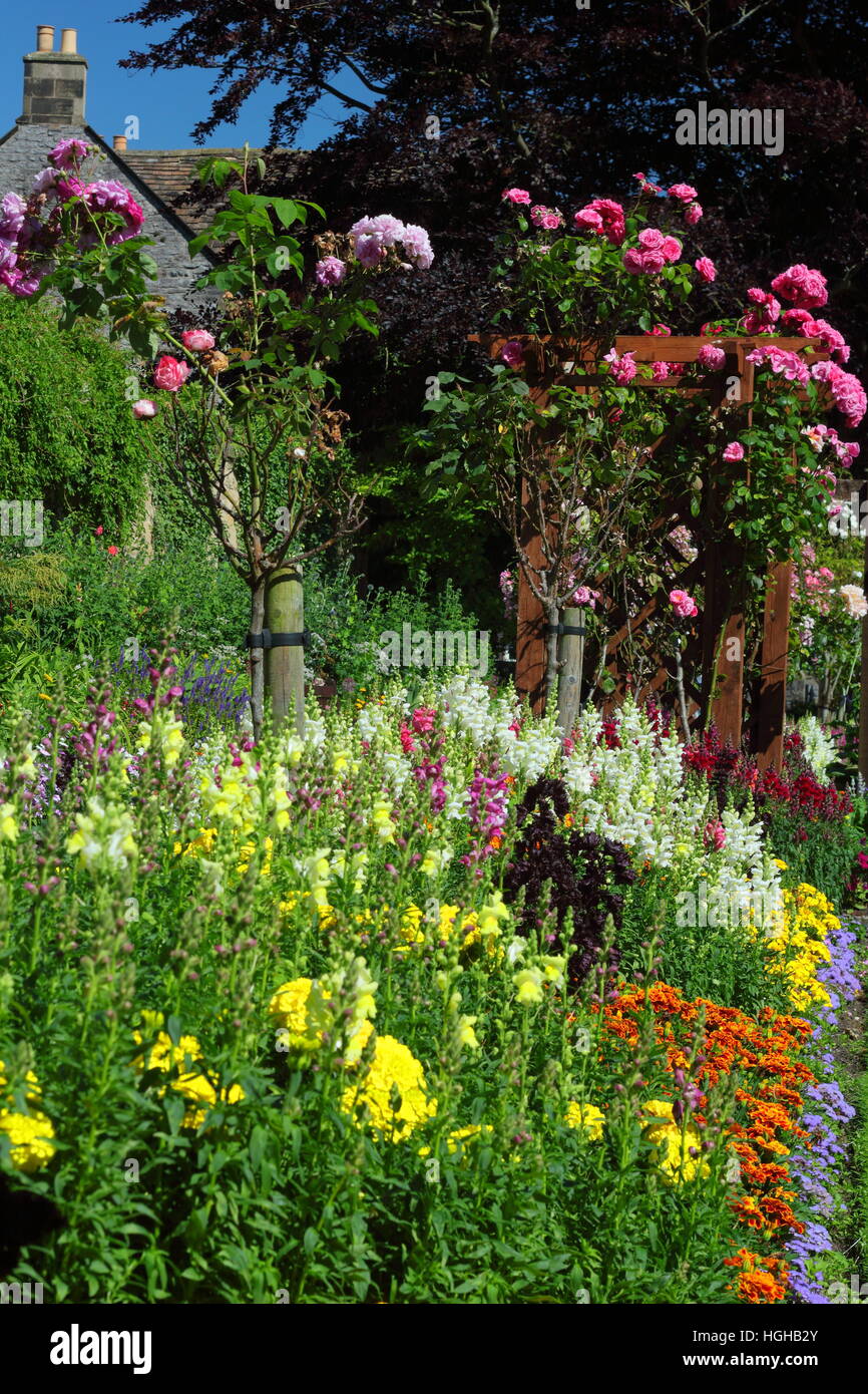 Sommer Blumen Grenze zeigt geschichteten Höhen mit Ringelblumen, Löwenmäulchen (Antirrhinums) und Rosen in einem englischen Garten Stockfoto