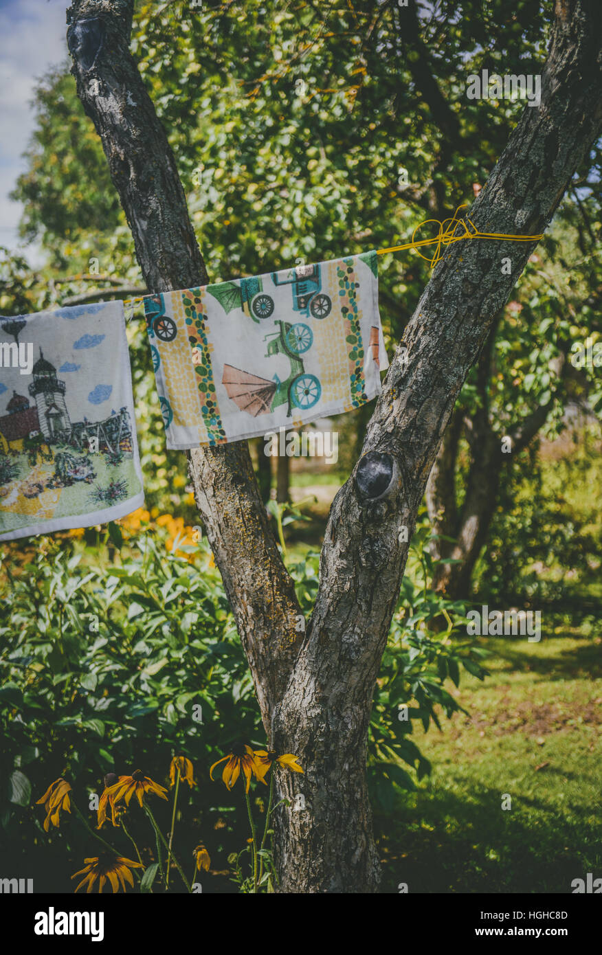 Alte Handtücher hängen an hängenden Linie am Baum im Garten Stockfoto