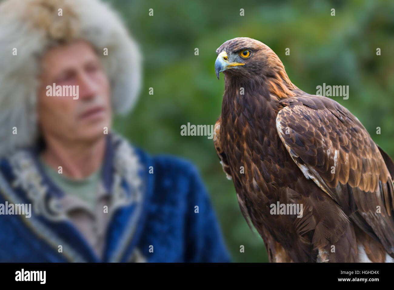 Kasachische eagle Hunter in traditionellen Kostümen und seinem Steinadler in Almaty, Kasachstan. Stockfoto