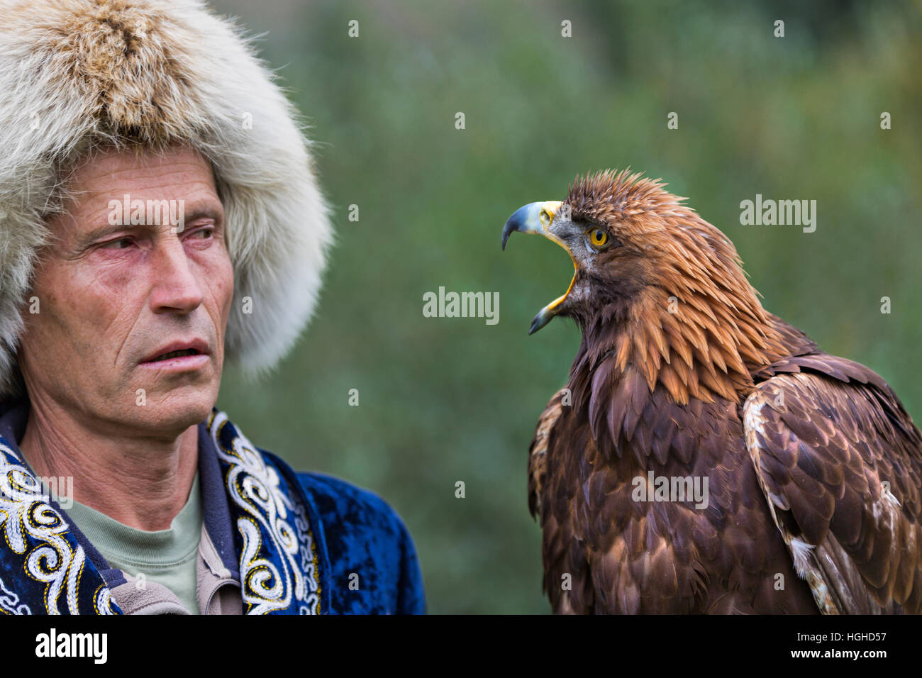 Kasachische Adler Jäger in traditionellen Kostümen hält seine Goldeneagle und sie schauen einander in Almaty, Kasachstan. Stockfoto