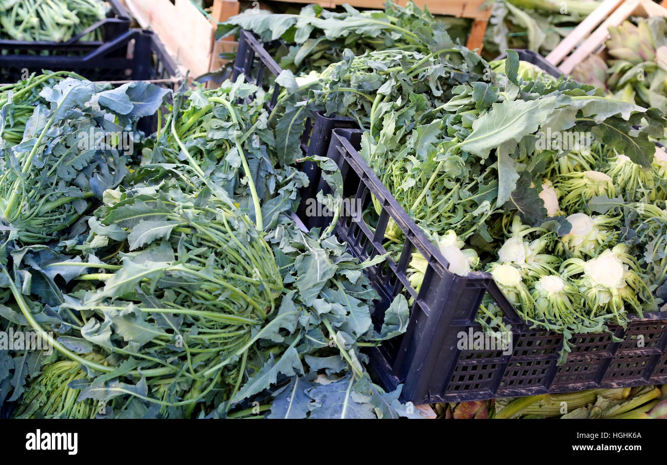 Echte original grünen Brokkoli Norditalien genannt BROCCOLO FIOLARO zum Verkauf an die Gemüsehändler Stockfoto