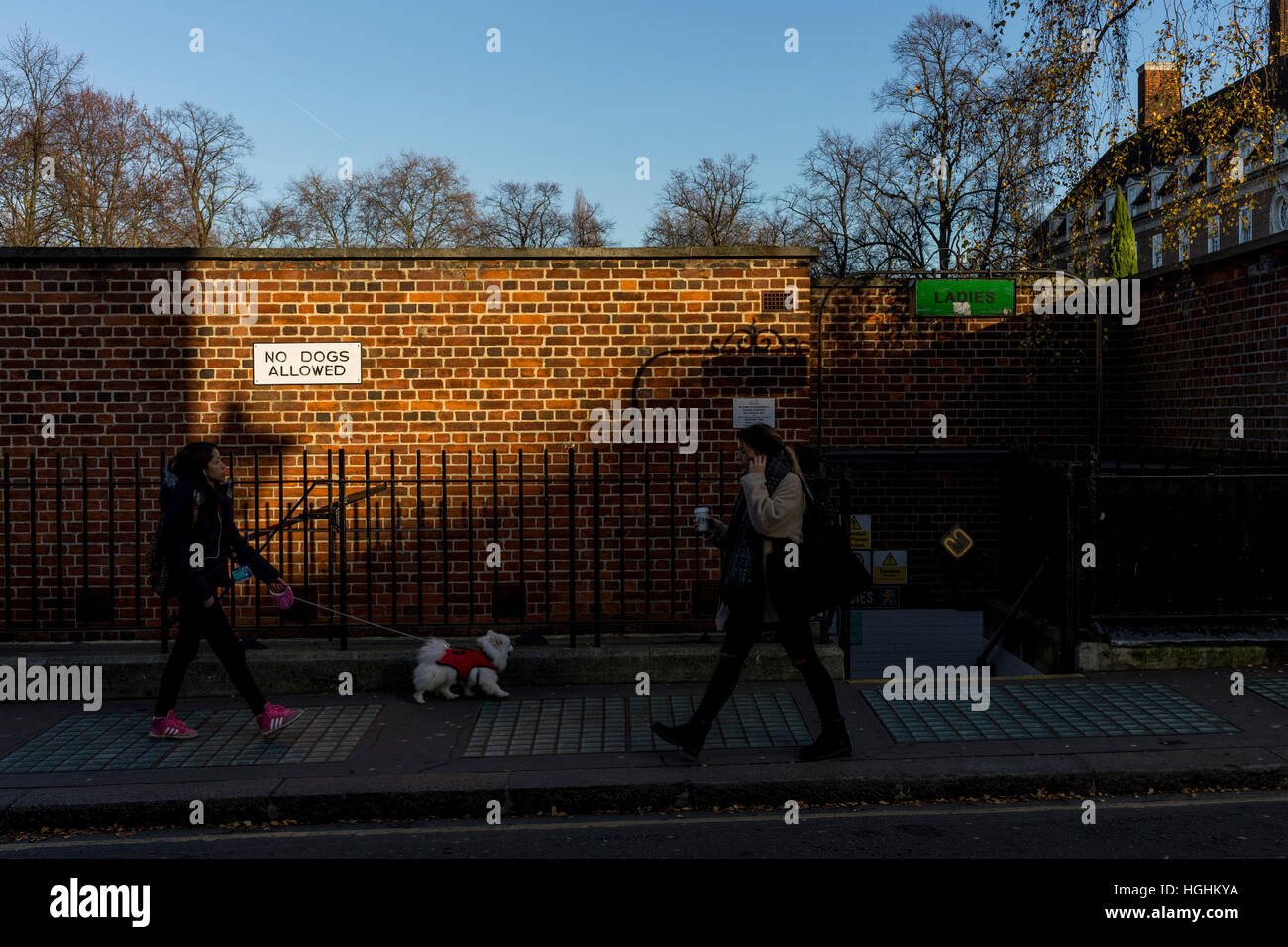 Öffentlichen Damentoilette in Greenwich, London, UK. An einem Wintertag AM während die tiefstehende Sonne, warmes Licht und Schatten gab genommen Stockfoto