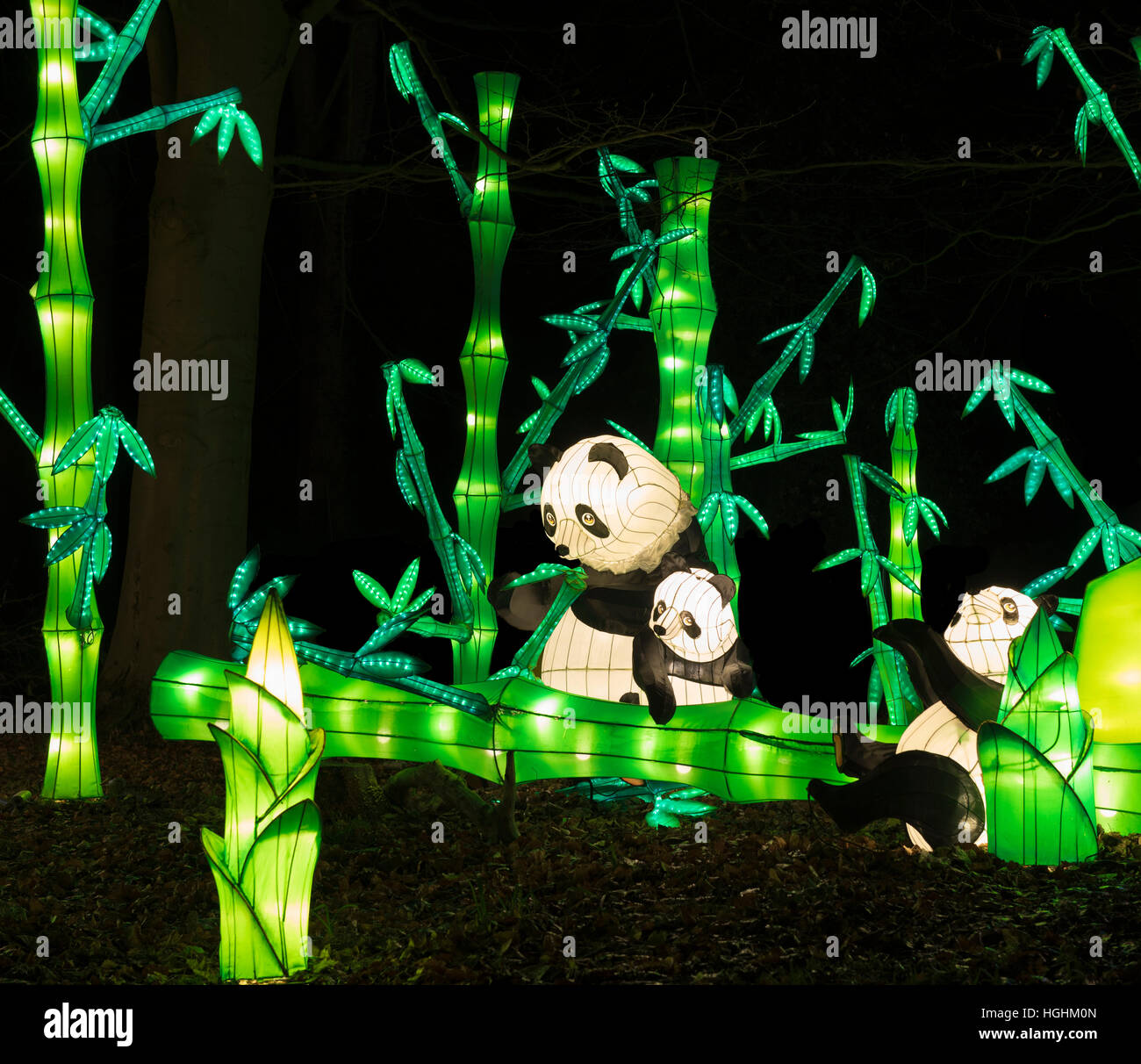Magische Laterne Festival Yorkshire, Roundhay Park, Leeds, UK Stockfoto