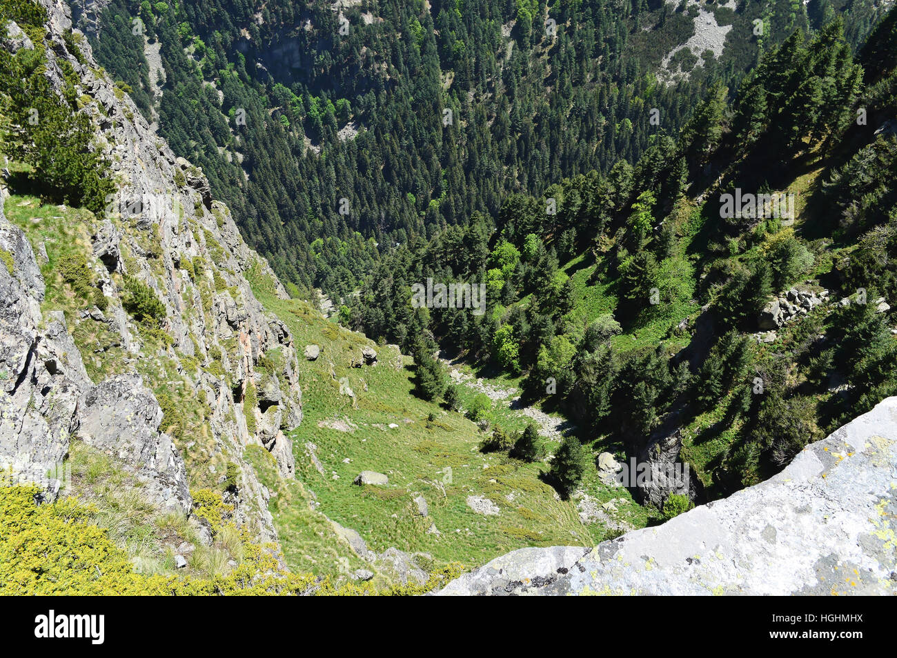 Blick vom Berg Rand bis zu den senkrechten Felsen und grünen Kiefern Stockfoto