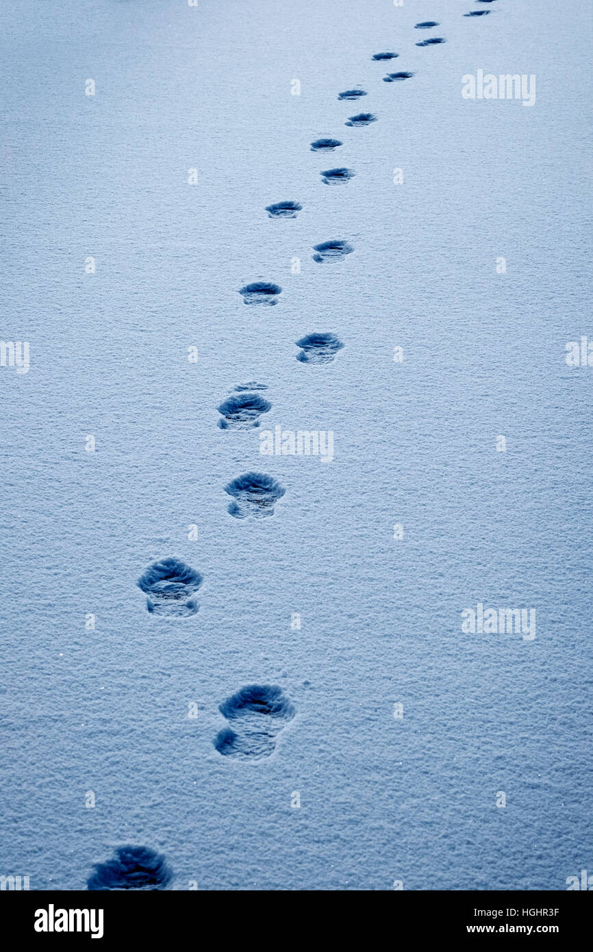 Der weg zum fortschritt -Fotos und -Bildmaterial in hoher Auflösung – Alamy