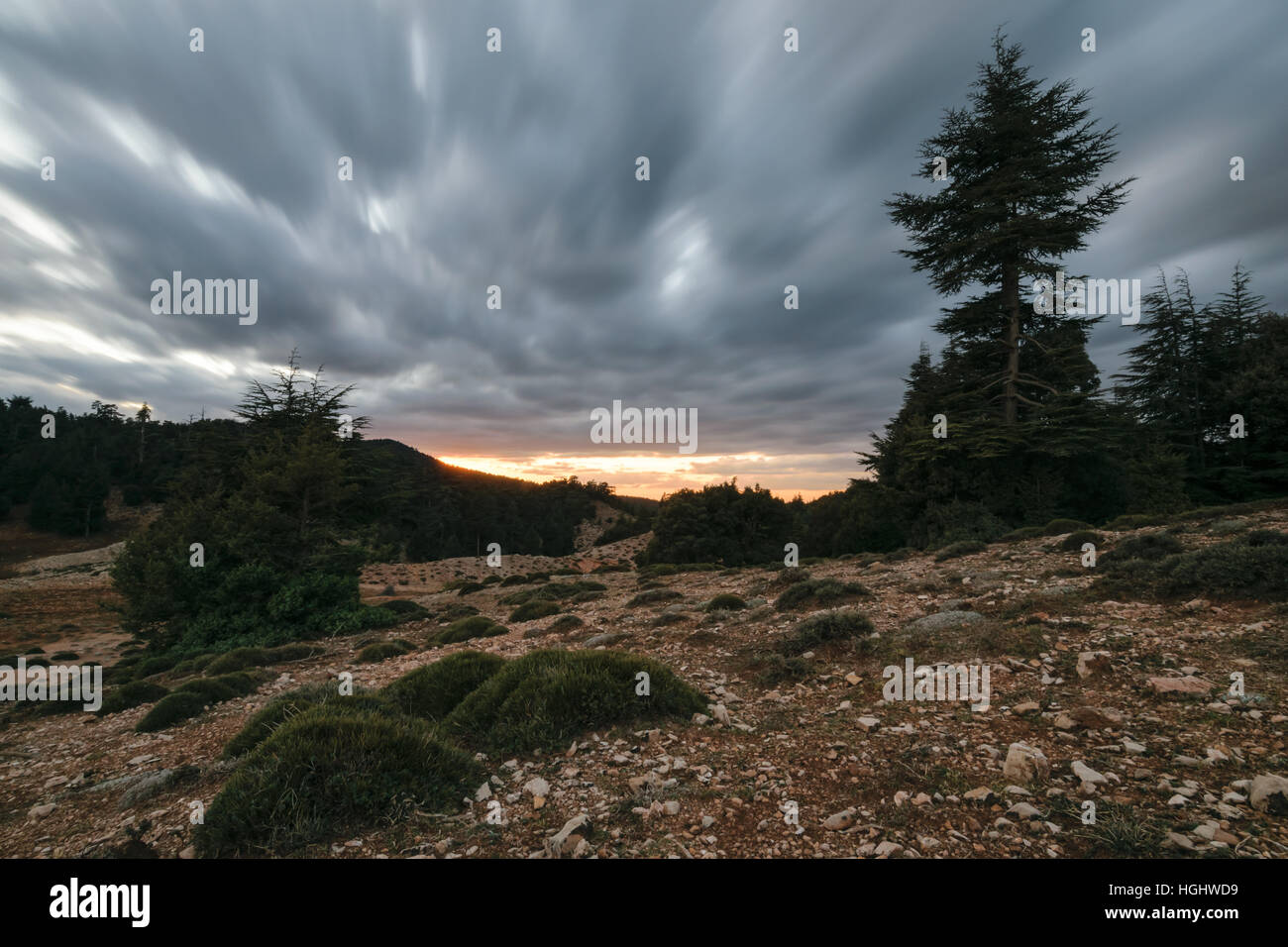 Gewitterwolken in einer trostlosen Landschaft, Ifrane, Marokko Stockfoto