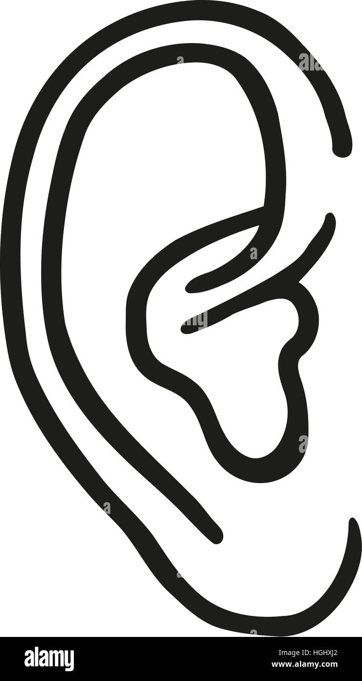 Menschliche Ohr Stockfoto