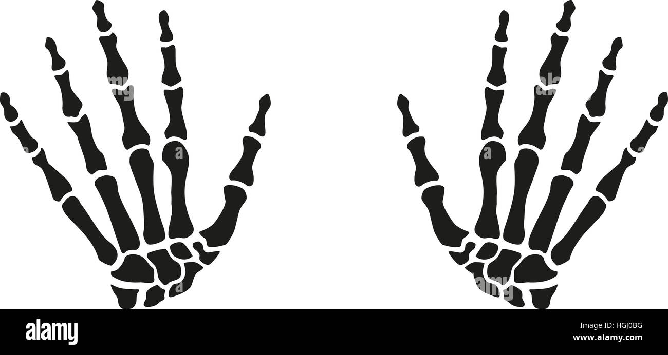 Skelett Hände Stockfoto