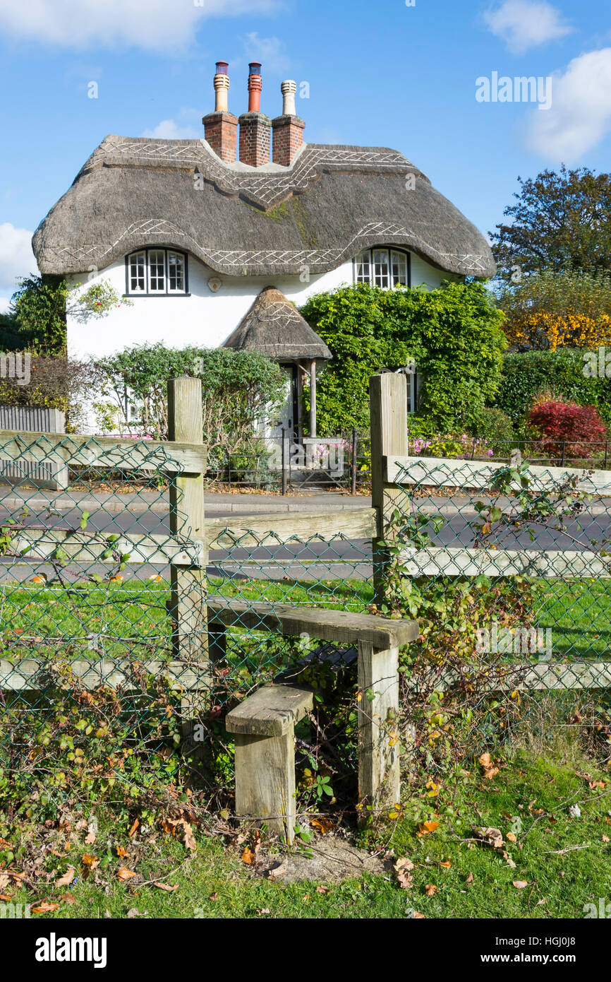 Reetdachhaus am Schwan grün, Lyndhurst, Hampshire, England, Vereinigtes Königreich Stockfoto