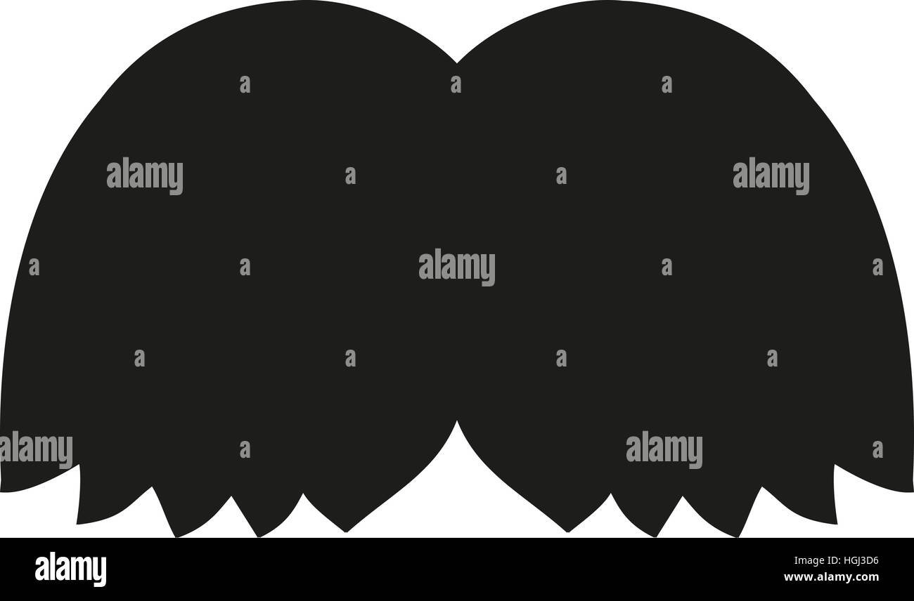 Schnurrbart Schnauzer Stockfoto