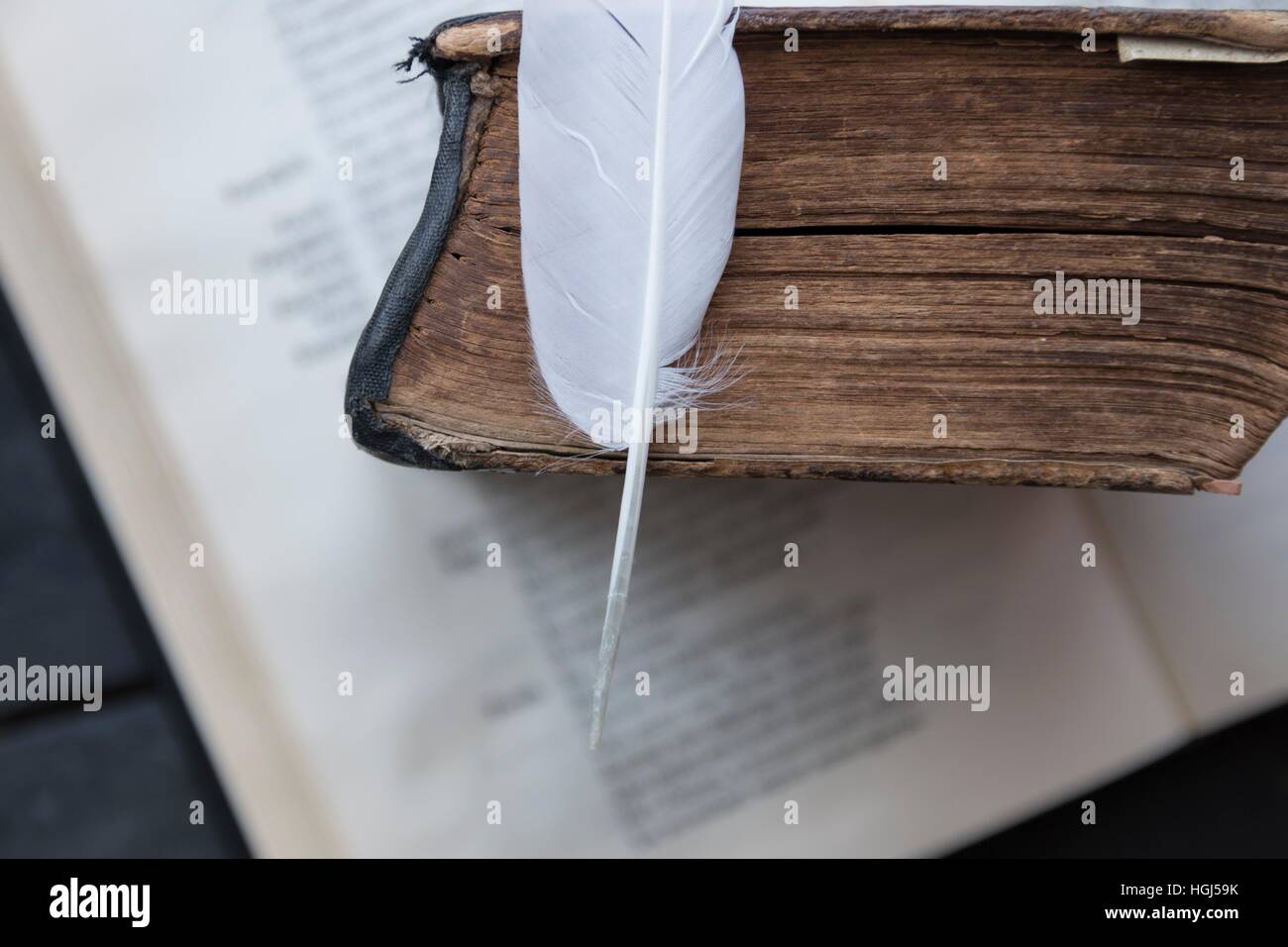 Kostenlose Kurse oder Schule Idee. Buch und Feder. Stockfoto