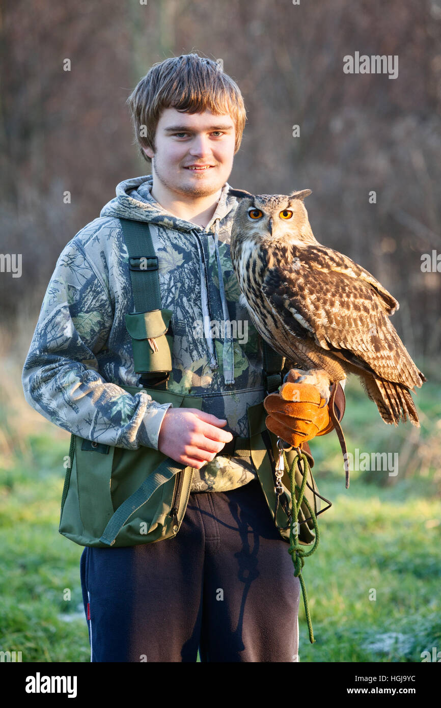 Ein junger Falkner in der Landschaft mit seinen Raubvogel, eine eurasische Adler-Eule. VEREINIGTES KÖNIGREICH. Stockfoto
