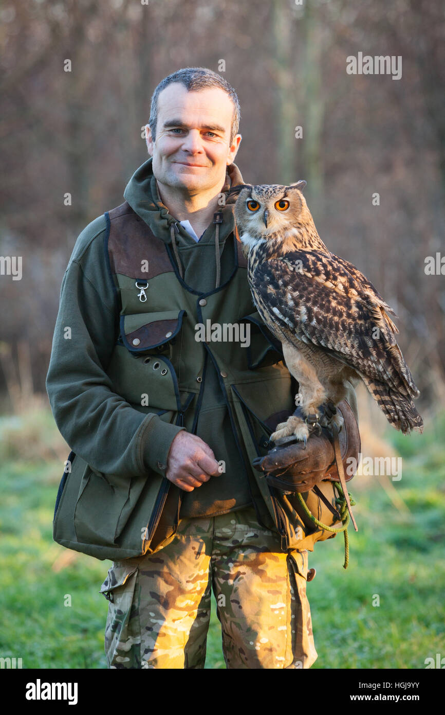 Ein Falkner in der Landschaft mit seinen Raubvogel, eine eurasische Adler-Eule. VEREINIGTES KÖNIGREICH. Stockfoto