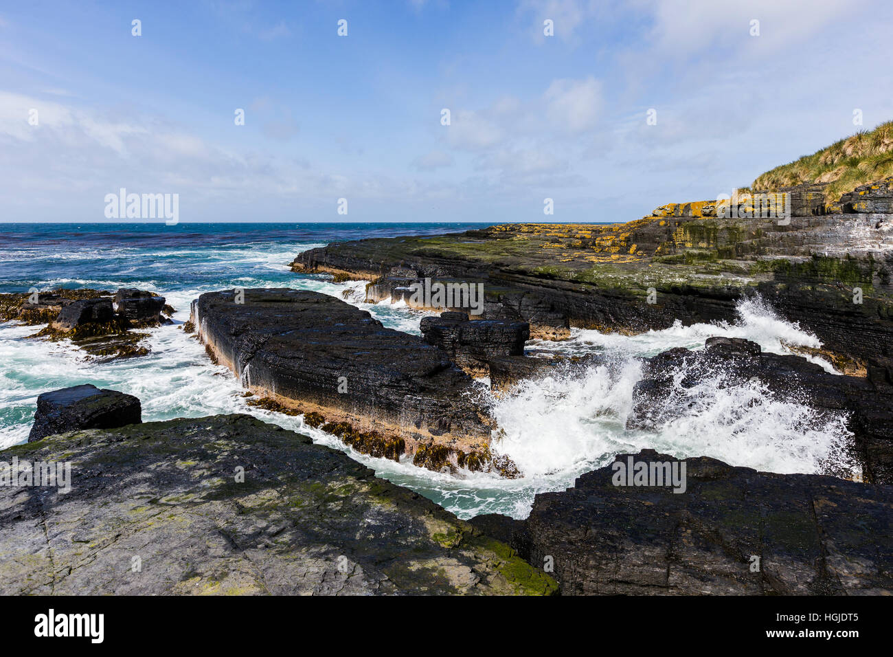 Einen Überblick über die felsige Küste um Bleaker Island in den Falkland-Inseln Stockfoto