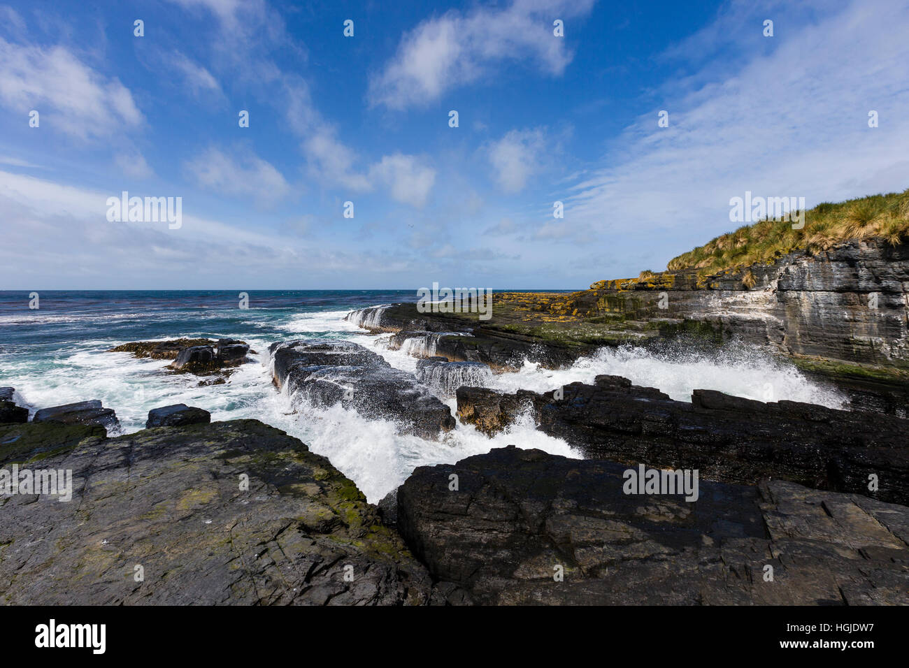 Einen Überblick über die felsige Küste um Bleaker Island in den Falkland-Inseln Stockfoto