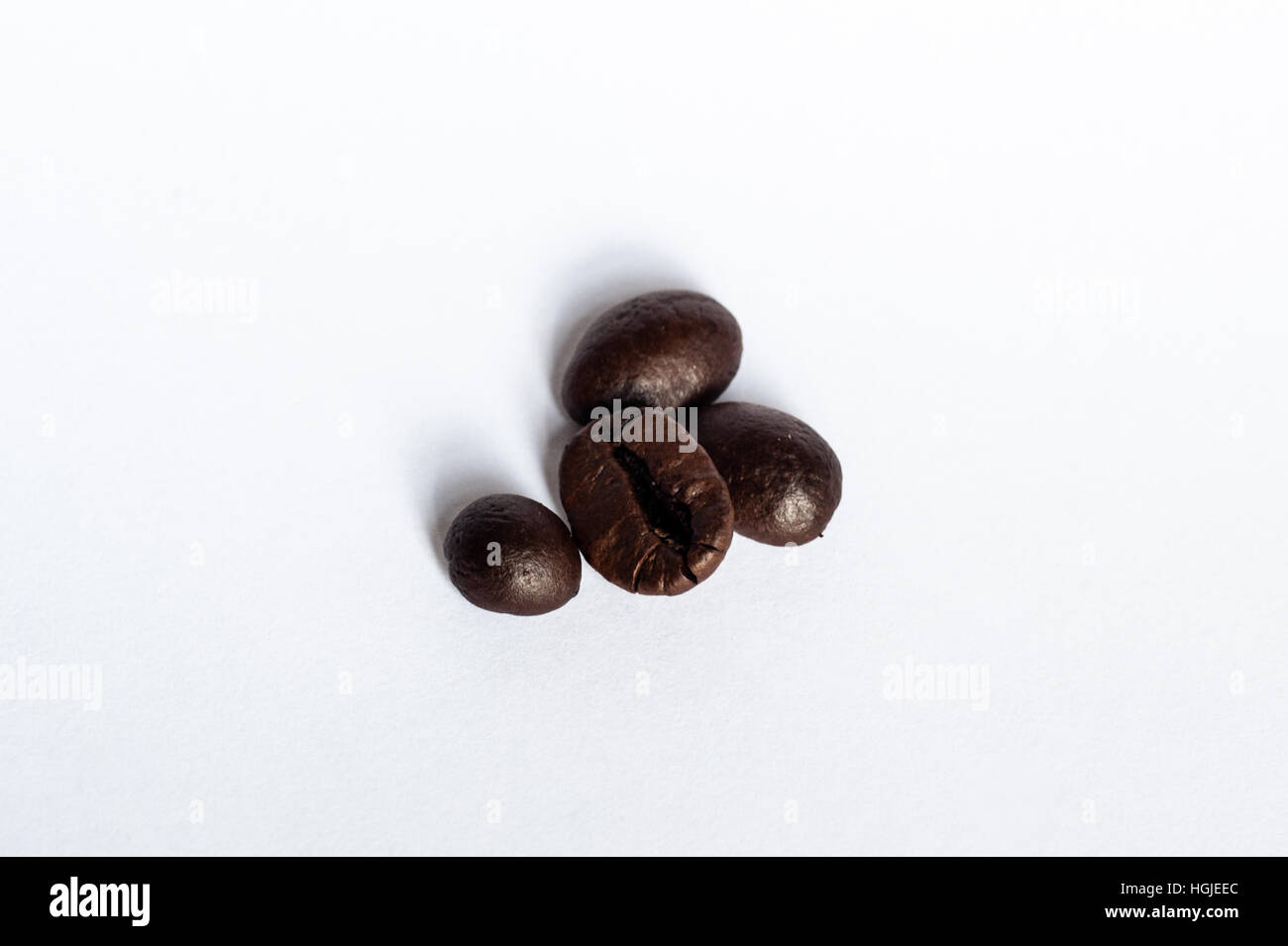 Ganze Kaffeebohnen isoliert auf weißem Hintergrund mit Textfreiraum. Stockfoto