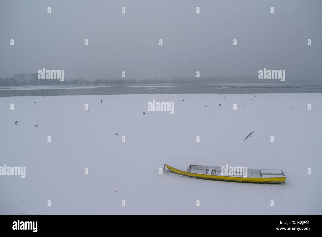 Ice erfasst gelbe Boot auf zugefrorenen Donau an einem schneit Wintertag Stockfoto