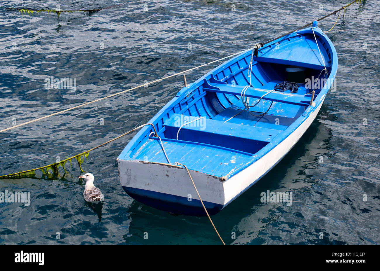Draufsicht der blau, rostig, traditionelle Empy Fischerboot geparkt in Bebek Bucht am Bosporus in Istanbul. Seagull schwimmt und Essen auf seinen Mund hält. Stockfoto