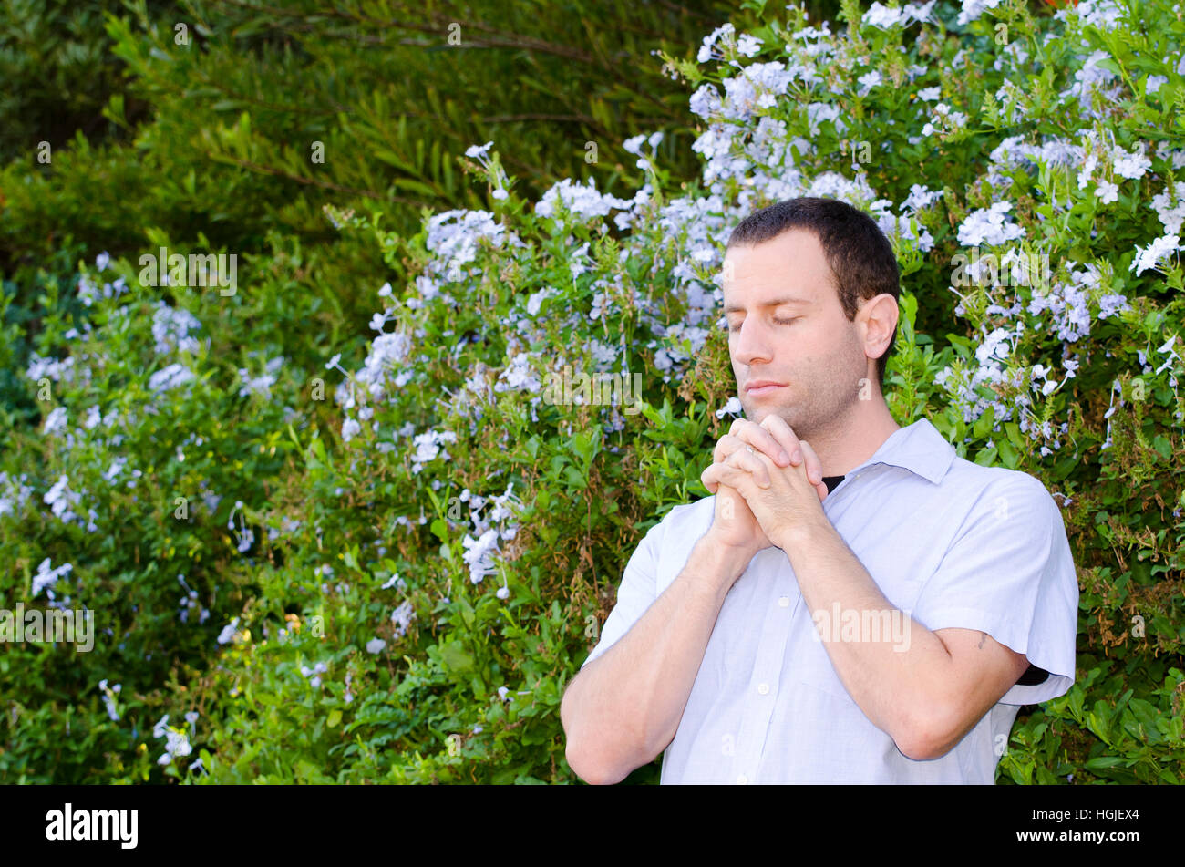 Mann, der betet allein außen mit Hände gefaltet vor einem Busch mit hellblauen Blüten. Stockfoto