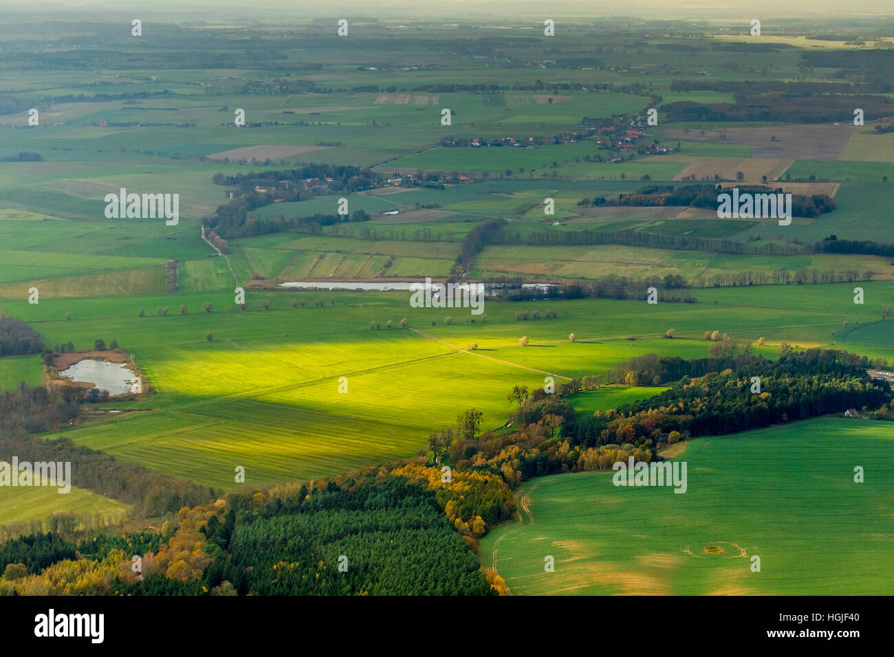 Luftbild, Farbe und Schatten auf den Wiesen rund um Teterow, Lelkendorf, Mecklenburgische Seenplatte, Mecklenburg-Vorpommern Stockfoto