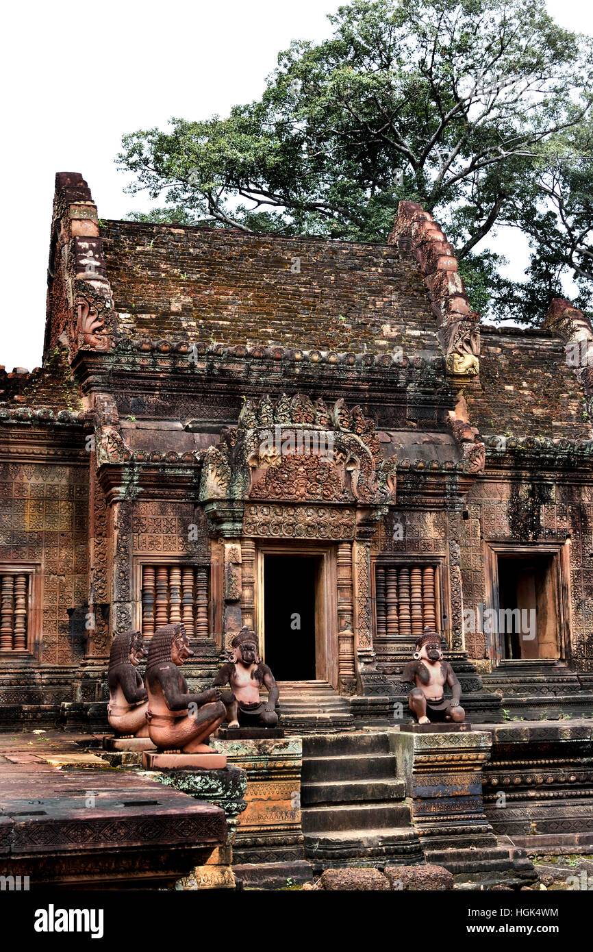 Affen Statuen am Banteay Srei - Srey kambodschanischen Tempel 10. Jahrhundert Hindu-Tempel Shiva geweiht. Siem Reap, Kambodscha (Angkor Komplex verschiedene archäologische Hauptstädte Khmer Reich 9-15. Jahrhundert) Stockfoto