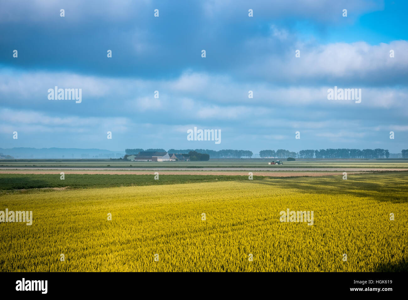 Weizenfeld und Bauernhof im Herbst, Frankreich Stockfoto