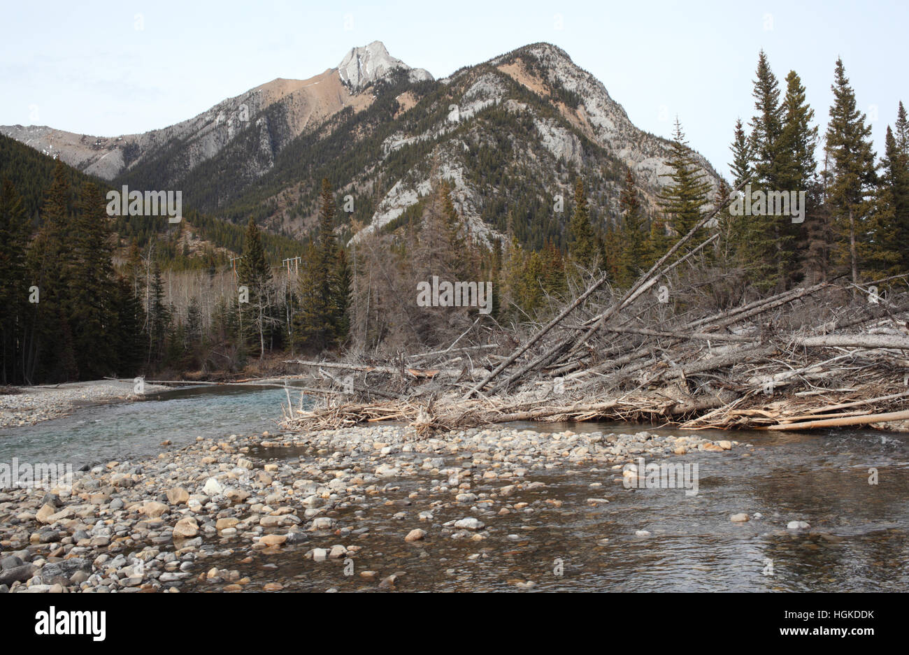 Kananaskis River in Alberta (Kanada) Stockfoto