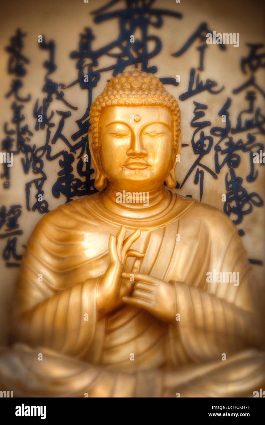 Buddha-Porträt aus der Welt Frieden Pagode, Nepal, pokhara Stockfoto
