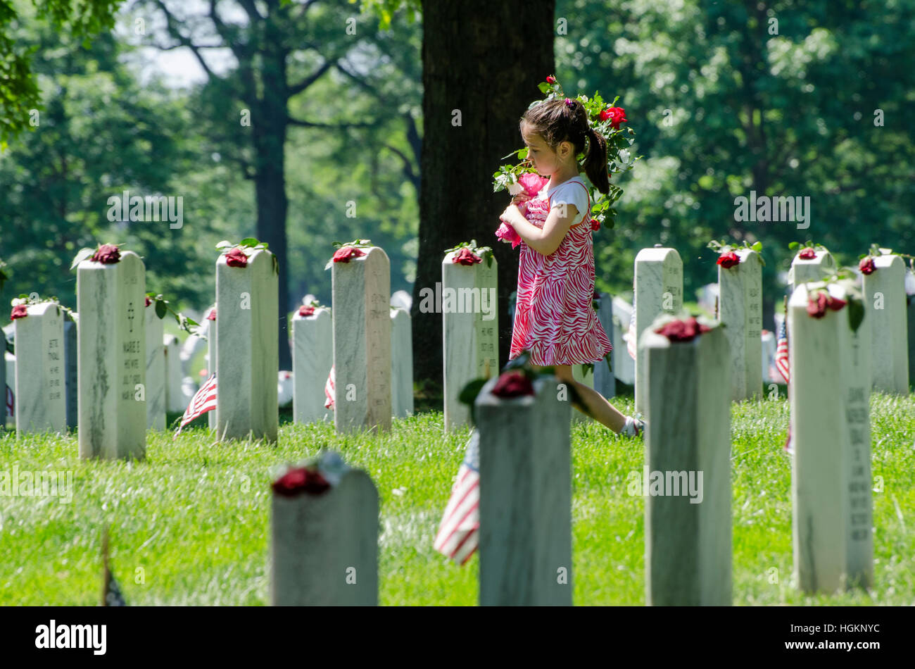 Ein junges Mädchen trägt rote Rosen, Symbole des Memorial Day, um Gräber auf dem Arlington National Cemetery. Stockfoto